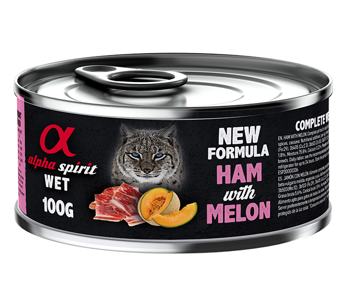 Paté de Jamón con Melón para Gatos - Image 2