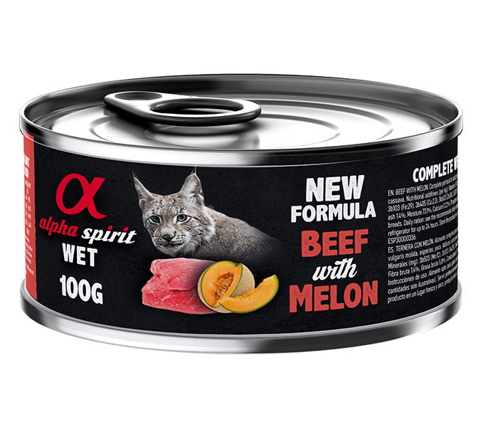 Paté de Ternera con Melón para Gatos - Image 2
