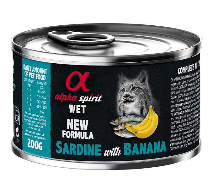 Paté de Sardina con Plátano para Gatos