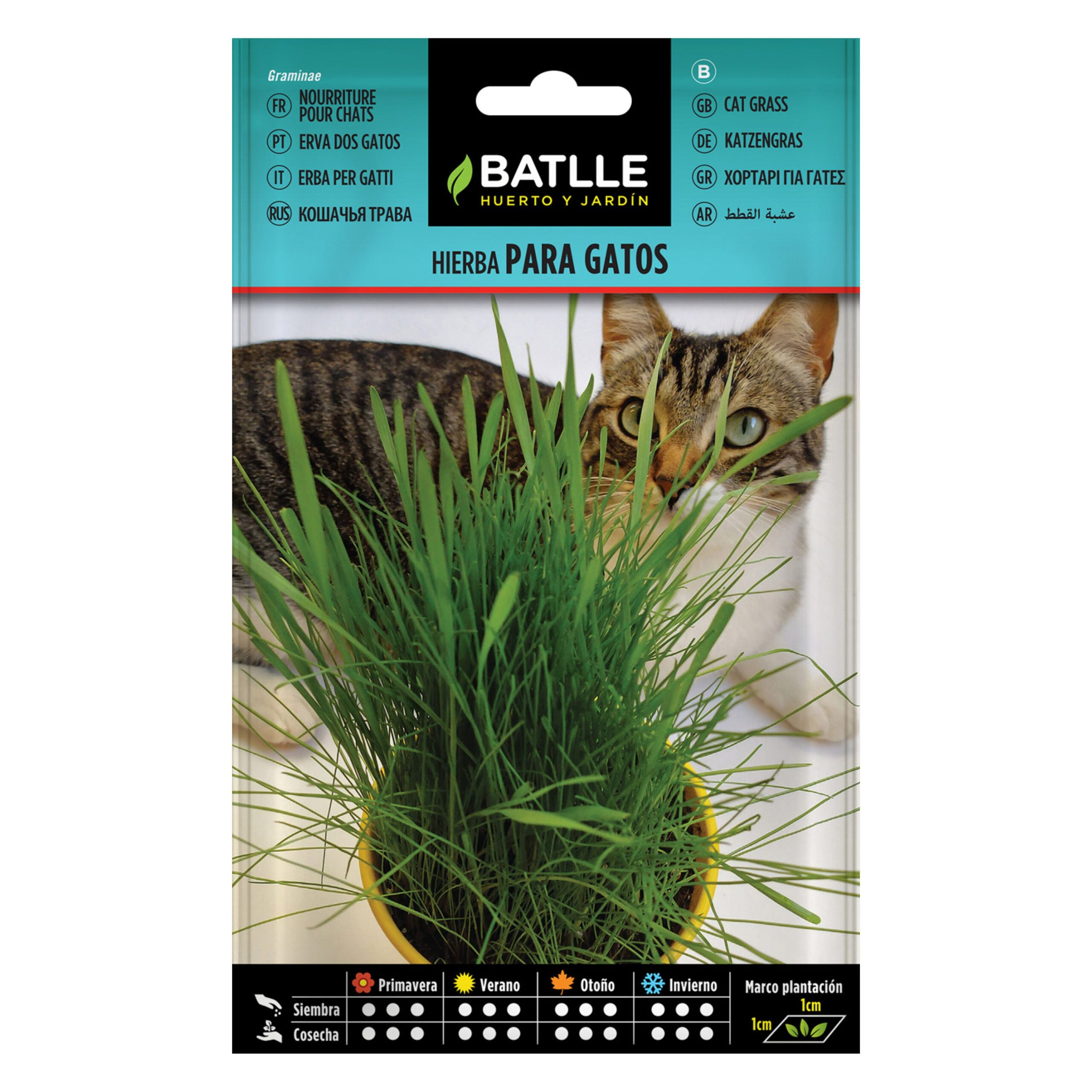 Hierba para Gato Batlle sobre