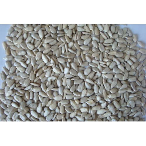 Pipas Peladas Bakery 20 Kg.