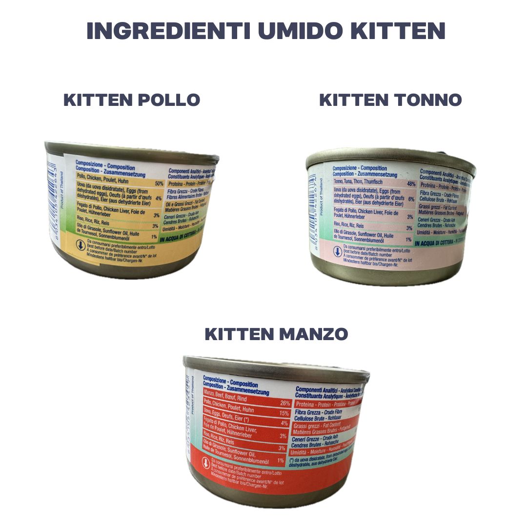 BOX MISTO UMIDO/SECCO KITTEN - Imagen 2
