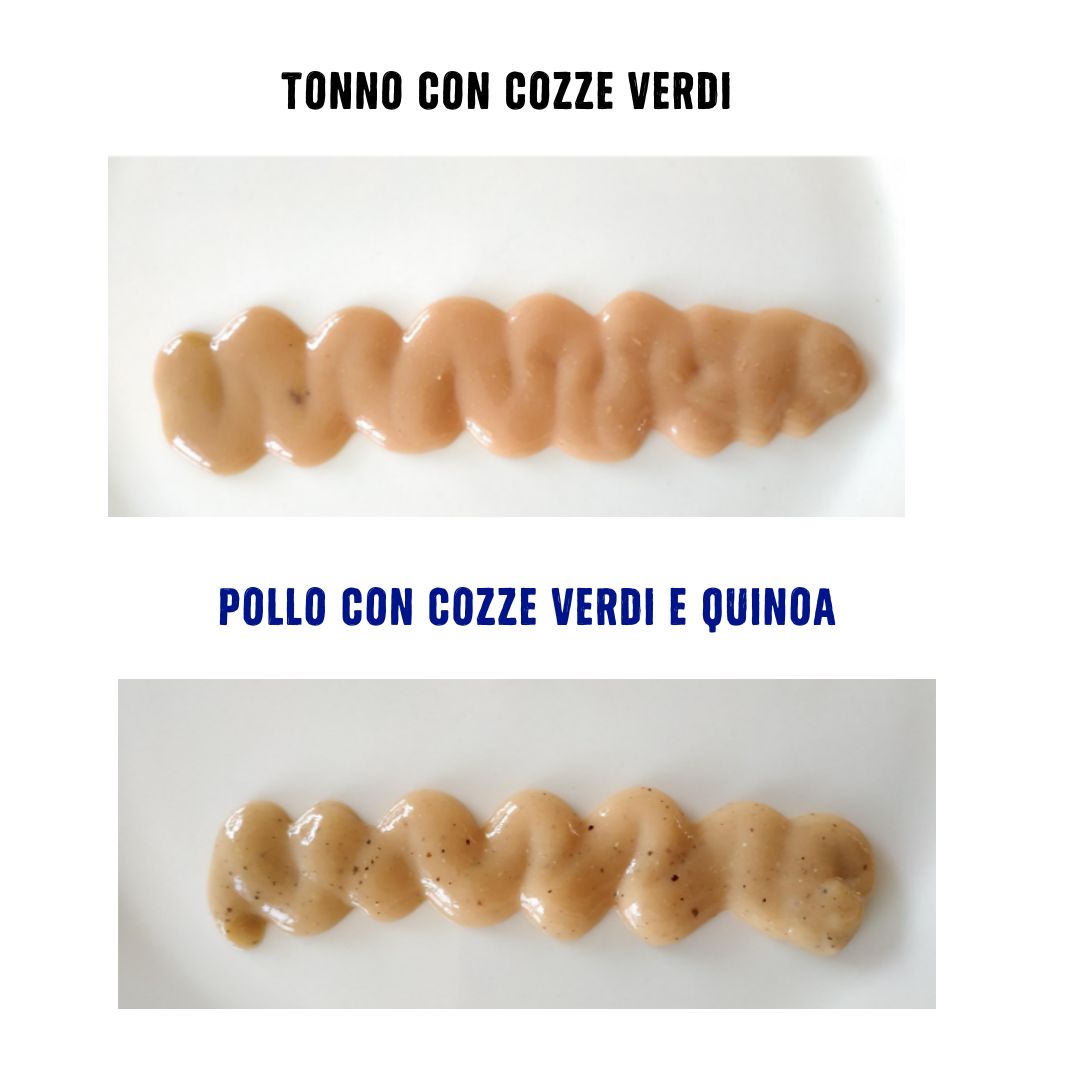 BOX SNACK - GATTO - Imagen 2