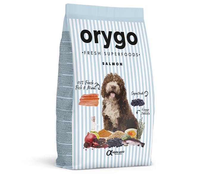 Orygo - Alimento de Salmón con Arándanos para Perros - Image 3