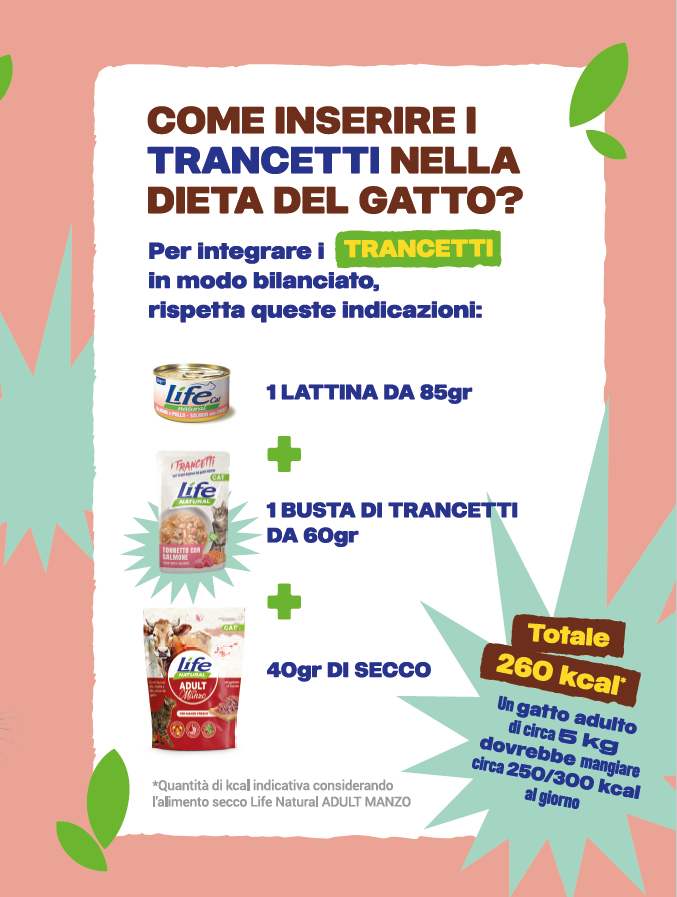 BOX TRANCETTI GRAIN FREE - 10 BUSTE DA 55 GRAMMI - SCONTATO DEL 20% - Imagen 3
