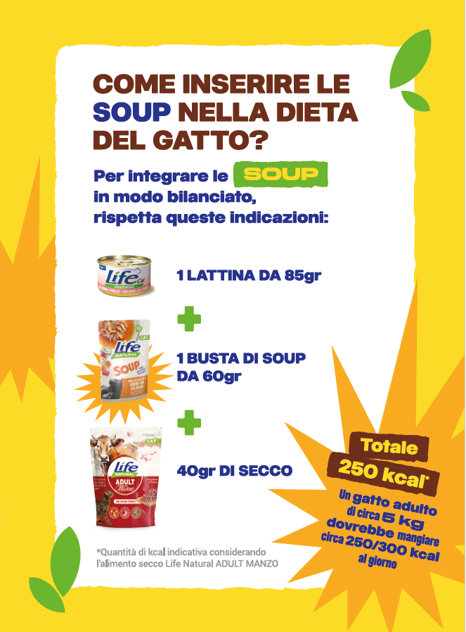 BOX SOUP GRAIN FREE - 10 BUSTE DA 60 GRAMMI - SCONTATO DEL 20% - Imagen 3