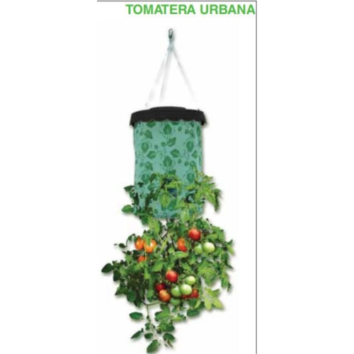 Tomatera Urbana 40x22 cm.
