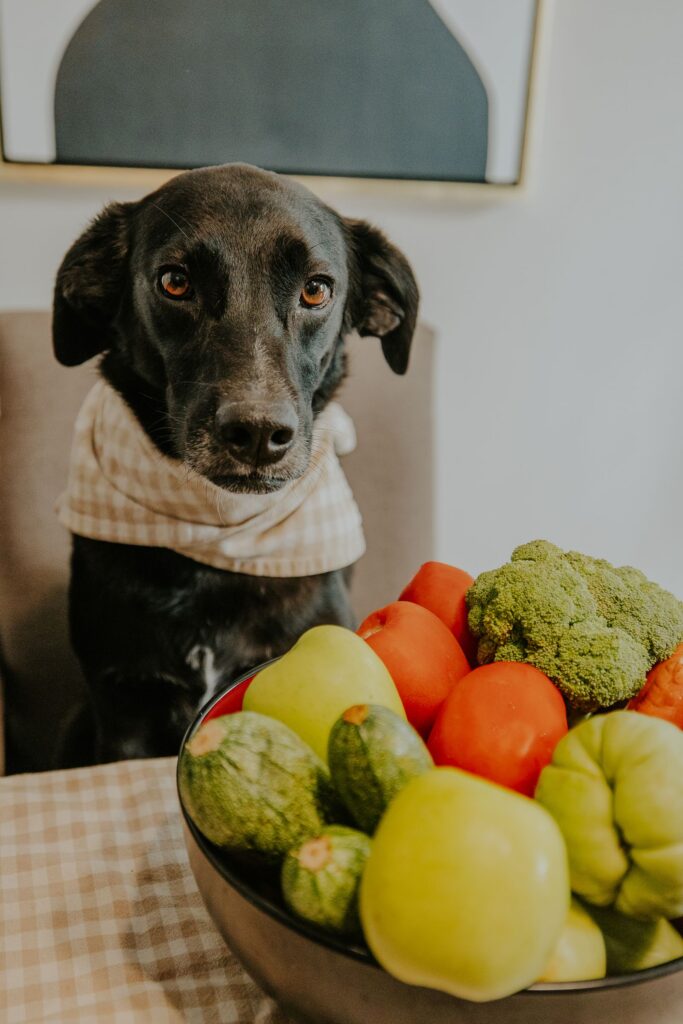 Perro junto a una mesa con verduras frescas