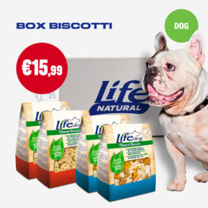 BOX BISCOTTI - 4 CONFEÇÕES DE 500 GR