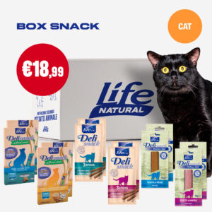 BOX SNACK - GATTO