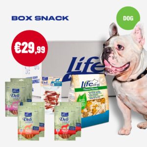 BOX SNACK - CANE