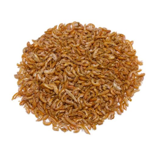 Gammarus Granel. Precio/Kilo