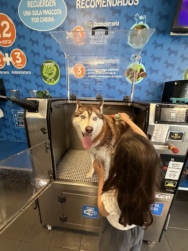 maquina lavado perros coruña