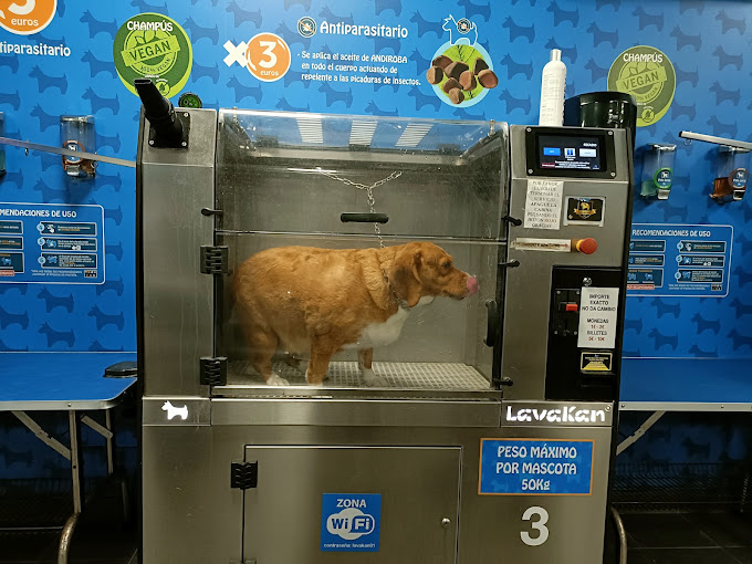 perros autolavado coruña