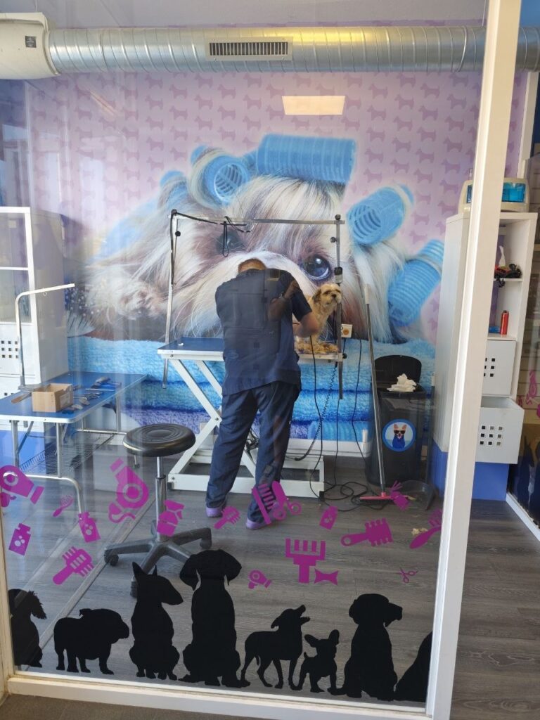 peluqueria canina Coruña con sala visible peluqueria canina Coruña con sala visible