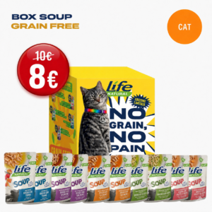 BOX SOUP GRAIN FREE - 10 BUSTE DA 60 GRAMMI - SCONTATO DEL 20%