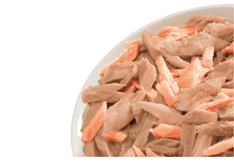tonnoconsalmone-int