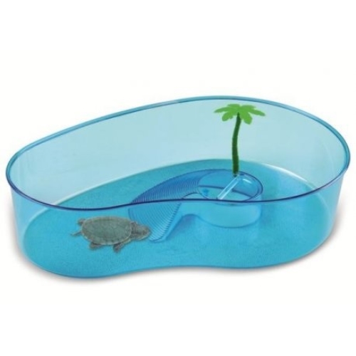 Tortugueira Oval com Palmeira
