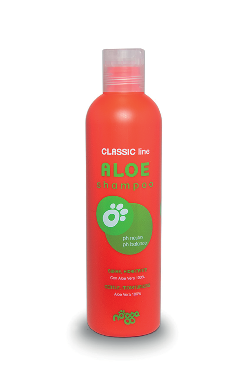 Nogga Aloe shampoo 5000 ml